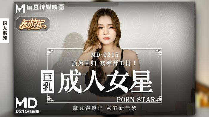 sex ko che có phụ đề Tấm gương - Movie